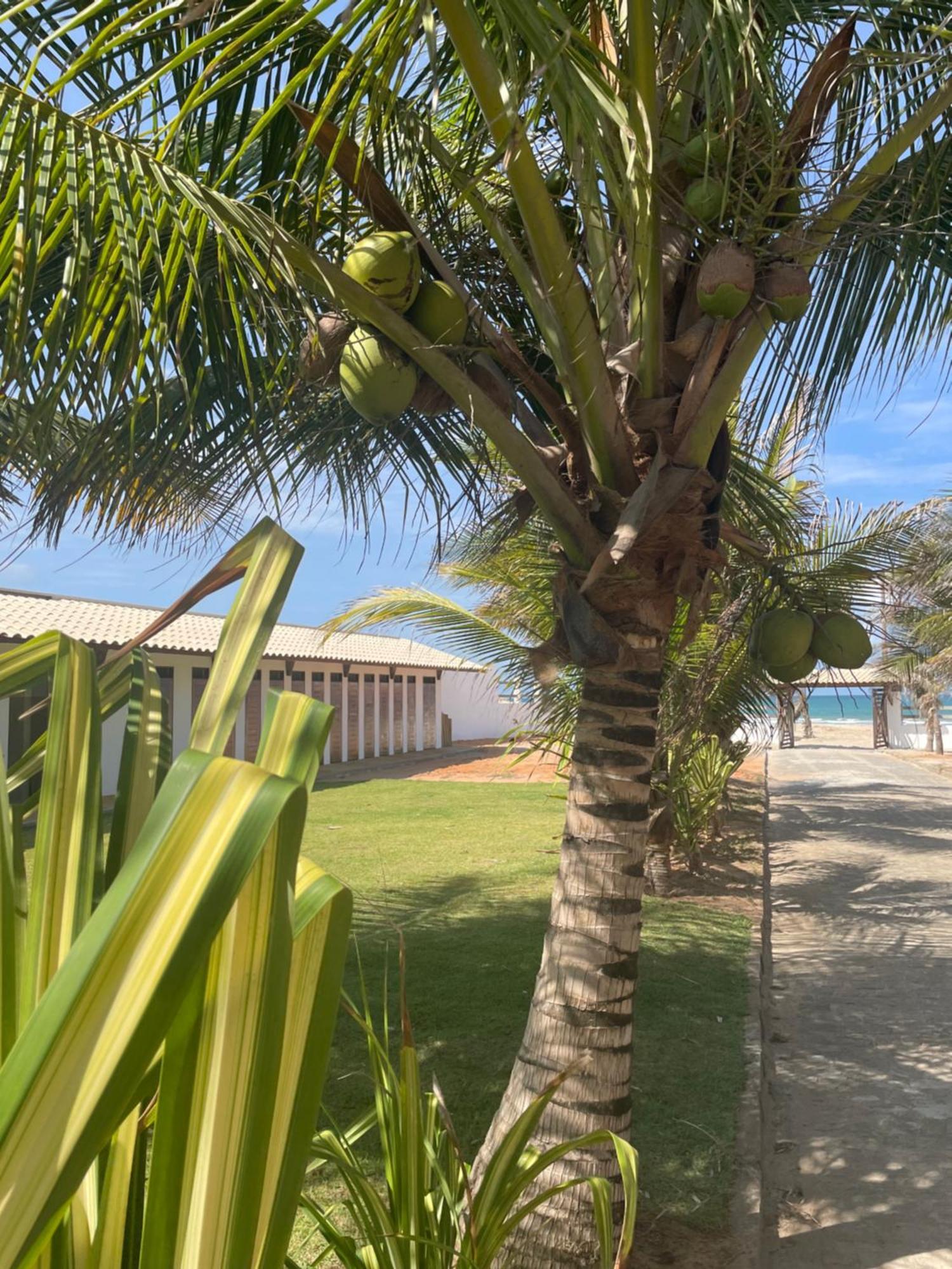 Villa Ava Kite - Guajiru Trairi Buitenkant foto