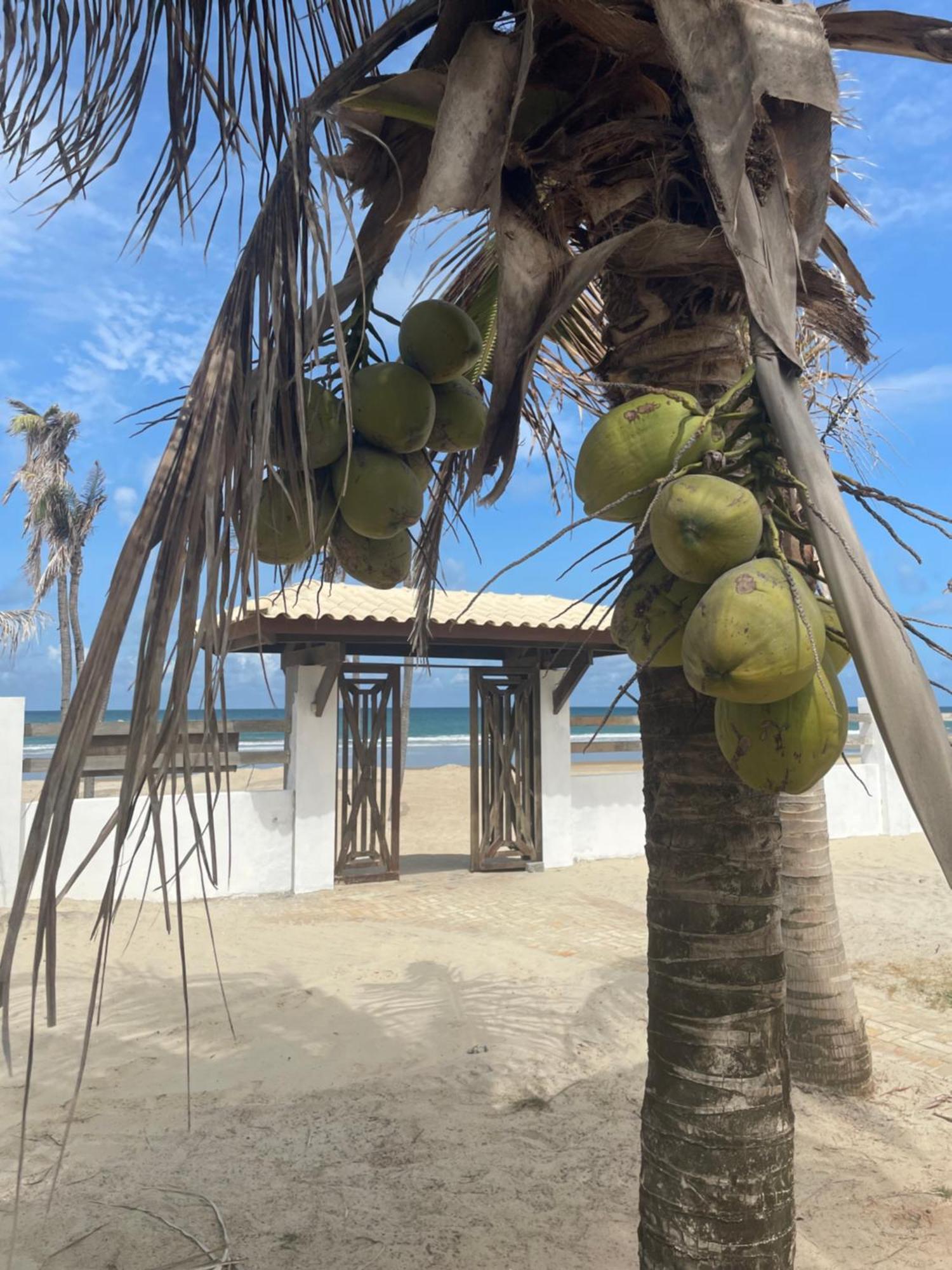 Villa Ava Kite - Guajiru Trairi Buitenkant foto