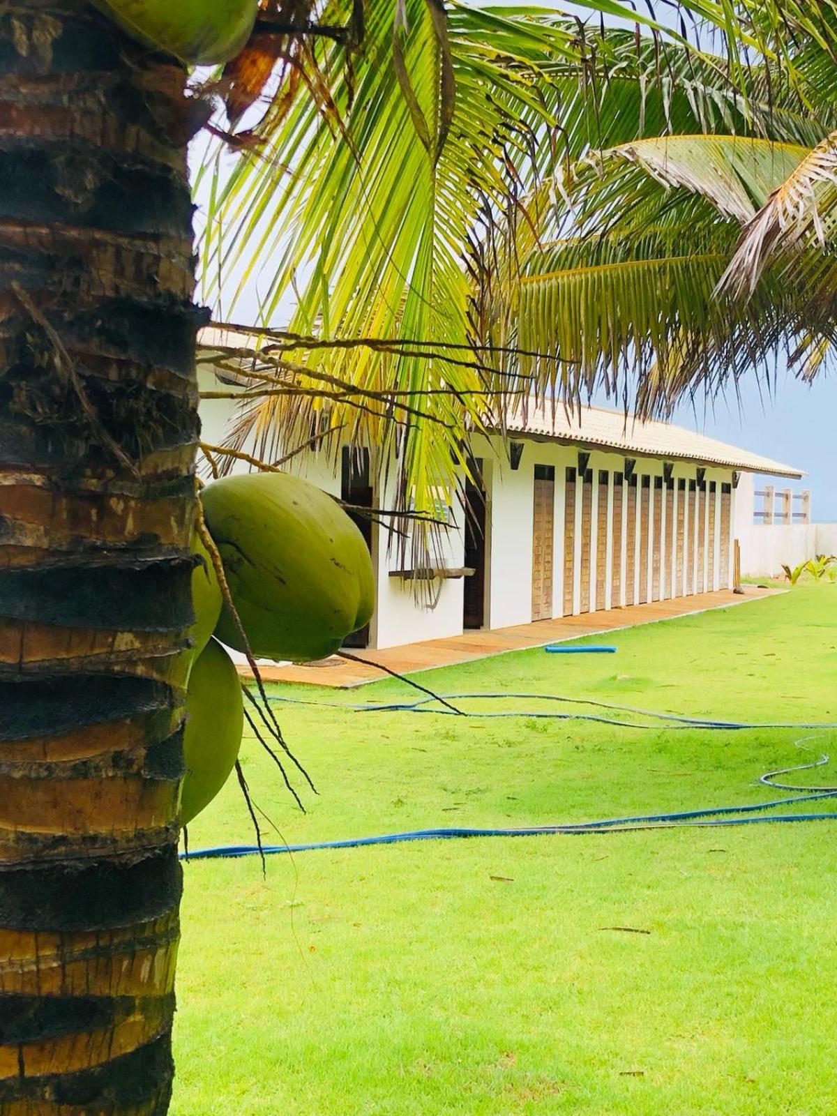 Villa Ava Kite - Guajiru Trairi Buitenkant foto